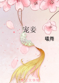 宠妾的小说推荐